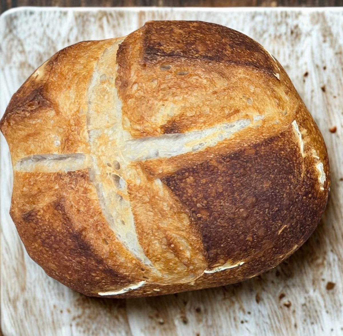 Country Style Sour Dough Bread